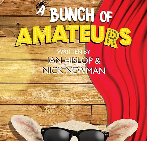 A Bunch of Amateurs Cover
